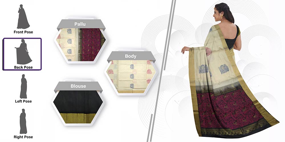 digitally draped saree back pose model